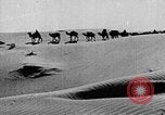 Image of caravan caught in a sand storm in desert of Saudi Arabia Saudi Arabia, 1936, second 34 stock footage video 65675050625