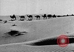 Image of caravan caught in a sand storm in desert of Saudi Arabia Saudi Arabia, 1936, second 35 stock footage video 65675050625
