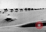 Image of caravan caught in a sand storm in desert of Saudi Arabia Saudi Arabia, 1936, second 44 stock footage video 65675050625