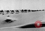 Image of caravan caught in a sand storm in desert of Saudi Arabia Saudi Arabia, 1936, second 46 stock footage video 65675050625