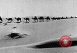 Image of caravan caught in a sand storm in desert of Saudi Arabia Saudi Arabia, 1936, second 47 stock footage video 65675050625