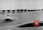 Image of caravan caught in a sand storm in desert of Saudi Arabia Saudi Arabia, 1936, second 48 stock footage video 65675050625