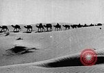 Image of caravan caught in a sand storm in desert of Saudi Arabia Saudi Arabia, 1936, second 49 stock footage video 65675050625
