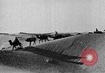 Image of caravan caught in a sand storm in desert of Saudi Arabia Saudi Arabia, 1936, second 50 stock footage video 65675050625