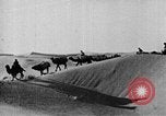 Image of caravan caught in a sand storm in desert of Saudi Arabia Saudi Arabia, 1936, second 51 stock footage video 65675050625