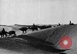 Image of caravan caught in a sand storm in desert of Saudi Arabia Saudi Arabia, 1936, second 52 stock footage video 65675050625