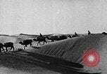Image of caravan caught in a sand storm in desert of Saudi Arabia Saudi Arabia, 1936, second 53 stock footage video 65675050625
