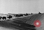 Image of caravan caught in a sand storm in desert of Saudi Arabia Saudi Arabia, 1936, second 55 stock footage video 65675050625