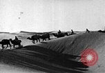 Image of caravan caught in a sand storm in desert of Saudi Arabia Saudi Arabia, 1936, second 56 stock footage video 65675050625