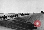 Image of caravan caught in a sand storm in desert of Saudi Arabia Saudi Arabia, 1936, second 57 stock footage video 65675050625