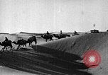 Image of caravan caught in a sand storm in desert of Saudi Arabia Saudi Arabia, 1936, second 58 stock footage video 65675050625