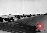Image of caravan caught in a sand storm in desert of Saudi Arabia Saudi Arabia, 1936, second 59 stock footage video 65675050625