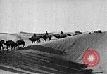 Image of caravan caught in a sand storm in desert of Saudi Arabia Saudi Arabia, 1936, second 60 stock footage video 65675050625