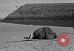 Image of Muslims performing namaz (Salat) Delhi India, 1936, second 37 stock footage video 65675050628