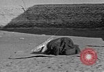 Image of Muslims performing namaz (Salat) Delhi India, 1936, second 38 stock footage video 65675050628