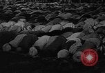 Image of Muslims performing namaz (Salat) Delhi India, 1936, second 47 stock footage video 65675050628