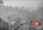 Image of forest Caracas Venezuela, 1940, second 1 stock footage video 65675050630
