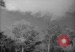 Image of forest Caracas Venezuela, 1940, second 3 stock footage video 65675050630