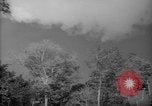 Image of forest Caracas Venezuela, 1940, second 4 stock footage video 65675050630