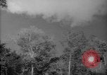 Image of forest Caracas Venezuela, 1940, second 5 stock footage video 65675050630