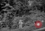 Image of forest Caracas Venezuela, 1940, second 22 stock footage video 65675050630