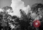 Image of forest Caracas Venezuela, 1940, second 56 stock footage video 65675050630
