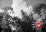 Image of forest Caracas Venezuela, 1940, second 58 stock footage video 65675050630