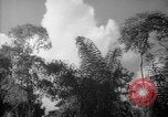 Image of forest Caracas Venezuela, 1940, second 59 stock footage video 65675050630