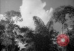 Image of forest Caracas Venezuela, 1940, second 61 stock footage video 65675050630