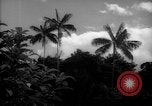 Image of forest Caracas Venezuela, 1940, second 7 stock footage video 65675050633