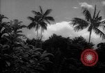 Image of forest Caracas Venezuela, 1940, second 12 stock footage video 65675050633