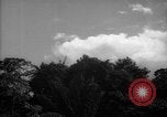 Image of forest Caracas Venezuela, 1940, second 16 stock footage video 65675050633