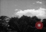 Image of forest Caracas Venezuela, 1940, second 17 stock footage video 65675050633