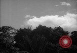 Image of forest Caracas Venezuela, 1940, second 18 stock footage video 65675050633