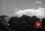 Image of forest Caracas Venezuela, 1940, second 19 stock footage video 65675050633