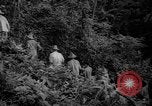 Image of forest Caracas Venezuela, 1940, second 20 stock footage video 65675050633
