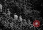 Image of forest Caracas Venezuela, 1940, second 21 stock footage video 65675050633