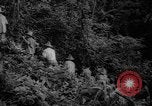 Image of forest Caracas Venezuela, 1940, second 22 stock footage video 65675050633