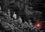 Image of forest Caracas Venezuela, 1940, second 24 stock footage video 65675050633