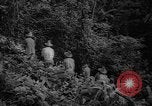 Image of forest Caracas Venezuela, 1940, second 26 stock footage video 65675050633
