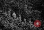 Image of forest Caracas Venezuela, 1940, second 27 stock footage video 65675050633