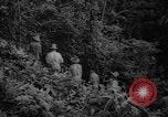 Image of forest Caracas Venezuela, 1940, second 28 stock footage video 65675050633