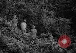 Image of forest Caracas Venezuela, 1940, second 30 stock footage video 65675050633