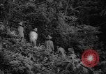 Image of forest Caracas Venezuela, 1940, second 31 stock footage video 65675050633