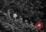 Image of forest Caracas Venezuela, 1940, second 33 stock footage video 65675050633