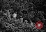 Image of forest Caracas Venezuela, 1940, second 34 stock footage video 65675050633
