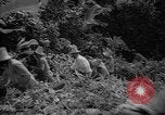 Image of forest Caracas Venezuela, 1940, second 40 stock footage video 65675050633