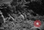 Image of forest Caracas Venezuela, 1940, second 41 stock footage video 65675050633