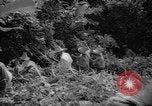 Image of forest Caracas Venezuela, 1940, second 43 stock footage video 65675050633