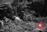 Image of forest Caracas Venezuela, 1940, second 44 stock footage video 65675050633